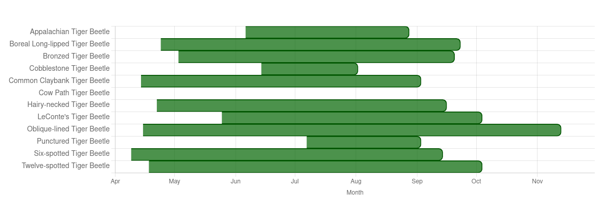 Visual summary of tiger beetle flight periods in New Brunswick – horizontal bars showing earliest to latest observation dates by month (April to November)