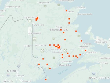 Distribution map - Boreal Long-lipped Tiger Beetle in NB
