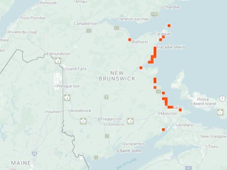 Distribution map - Hairy-necked Tiger Beetle in NB