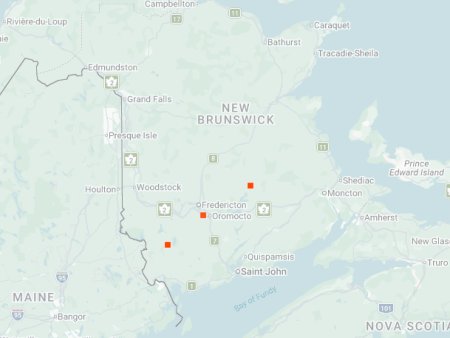 Distribution map - LeConte's Tiger Beetle in NB