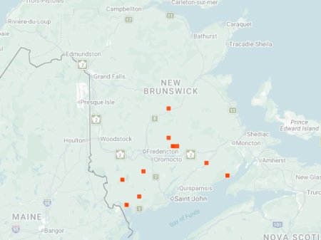Distribution map - Punctured Tiger Beetle in NB