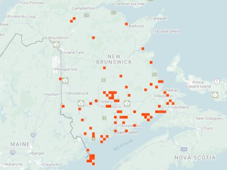 Distribution map - Twelve-spotted Tiger Beetle in NB